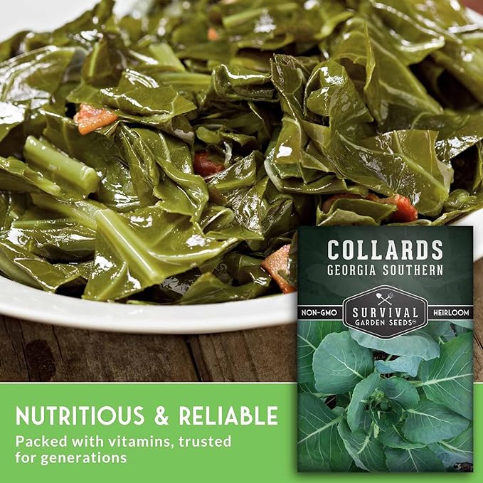 Collard Green Seeds for Planting | Georgia Southern Heirloom Non-GMO Variety | Leafy Greens for Home Vegetable Gardens - Survival Garden Seeds (2 Packs)