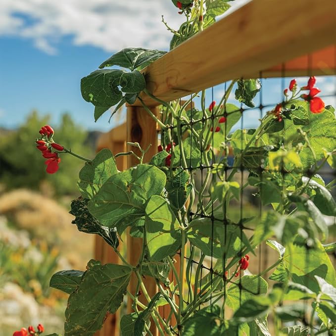 Outdoor Living Today 8x8 Deer Proof Raised Garden Bed