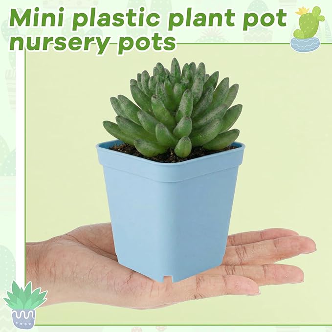 Yaomiao 200 Pack 3 Inch Blue Nursery Pot Square Flower Pots Plastic Plant Succulent Planter Seed Starting Pots with Drainage Holes for Garden Office Balcony Decor Indoor Outdoor Plant Seedling