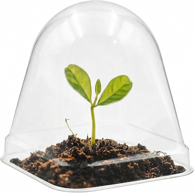 RooTrimmer 120 Pack Clear Humidity Domes, Transparent Seedling Domes Compatible with 2.7 Inch Square Nursery Pots for Seedlings