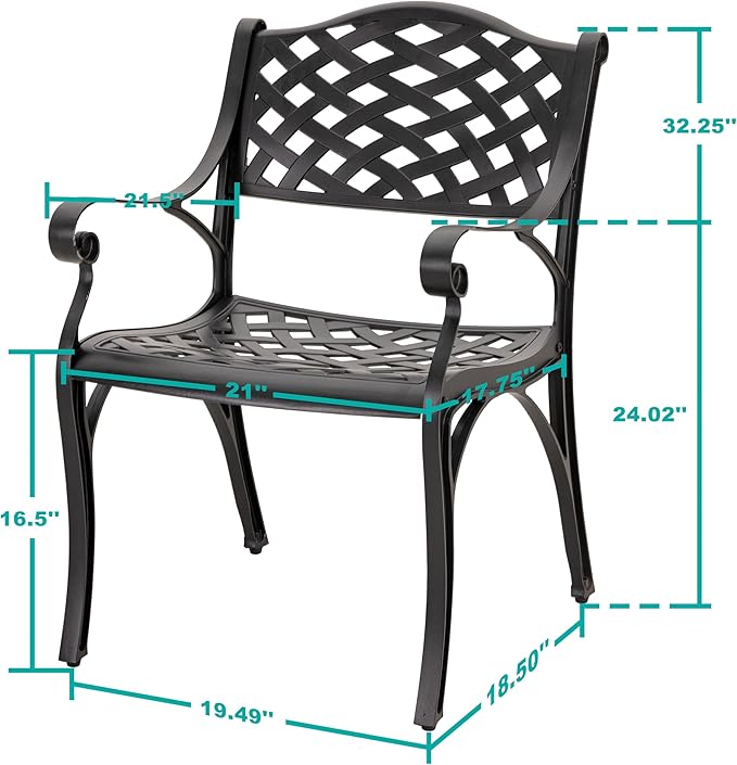 NUU GARDEN Patio Dining Chairs Set of 2, Aluminum Outdoor Indoor Patio Chairs with Arms for Garden, Backyard, Porch, Black