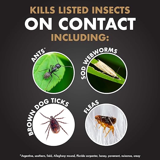 Spectracide Immunox Fungus Plus Insect Control For Lawns 32 Ounces, Dual Action, Hose-End Concentrate, 6 Pack