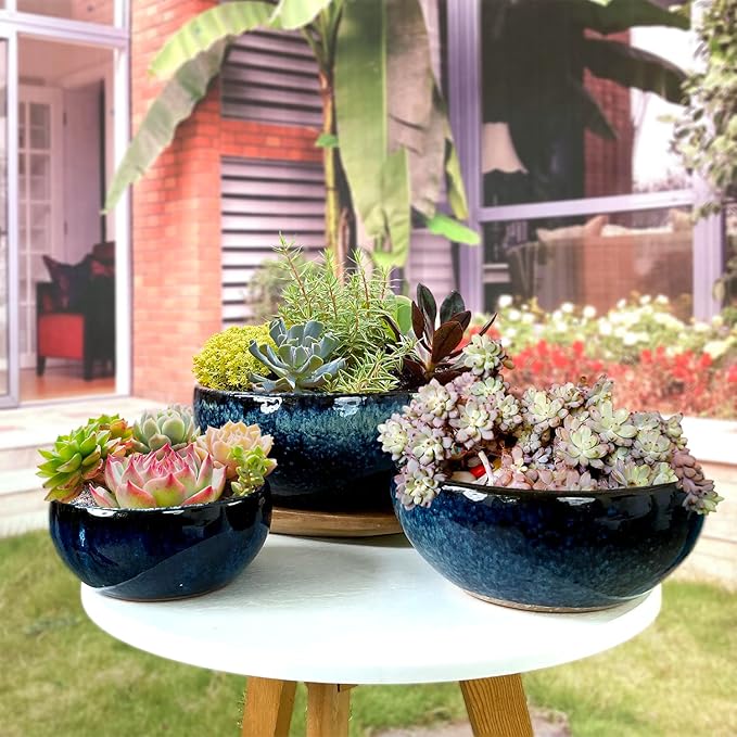 11 9 7 Inch Succulent Pot with Drainage and Mesh Pads Large Round Ceramic Plant Pot for Indoor Outdoor Plants Succulent Planter Cactus Bonsai Pot Container Set of 3 (Blue)