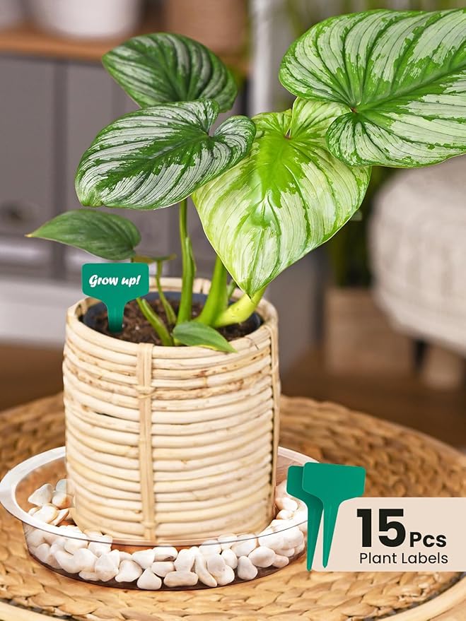 GROWNEER 15 Packs 6 Inches Clear Plant Saucers Flower Pot Trays, with 15 Pcs Plant Labels, Plastic Plant Saucer Drip Trays for Indoor Outdoor Plants Garden