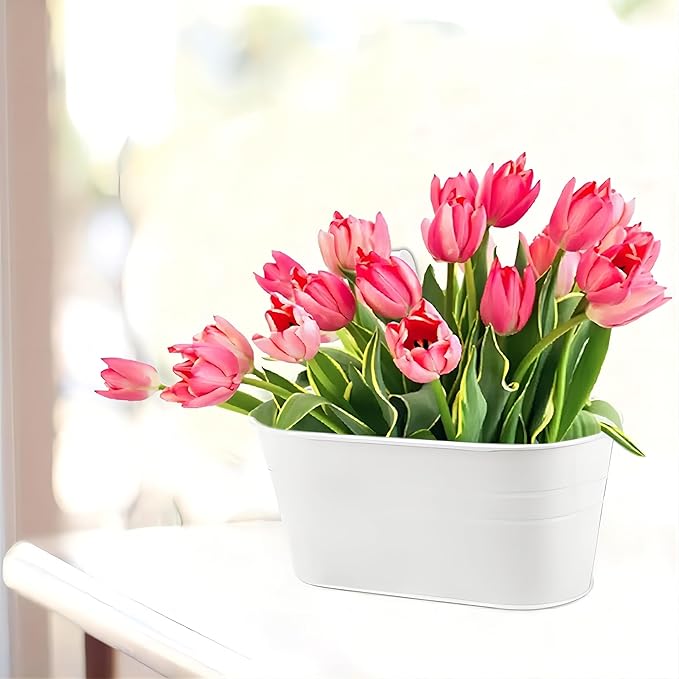 10.6" Oval Iron Hanging Flower Pots - Rust-Resistant Metal Planters with Detachable Hooks for Garden, Yard & Home Decor (White，5 PCS)