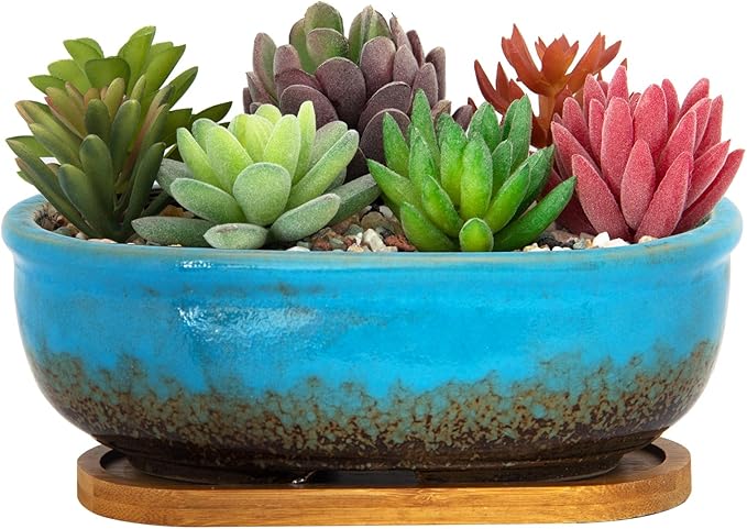 ARTKETTY Succulent Pots, 7.9'' Large Ceramic Pots for Indoor Cactus Plants, Shallow Succulent Planters with Drainage Tray, Oval Bonsai Plant Container Bowl Garden Home Windowsill Decor