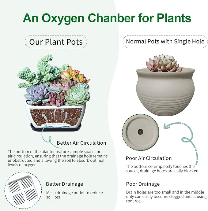 Oliz Succulent Pots 6 Inch Shallow Herb Planters with Drainage Hole - 4 Packs Cactus Planter for Home Office Garden Plants Pot Present - Plants Not Included (Off White)