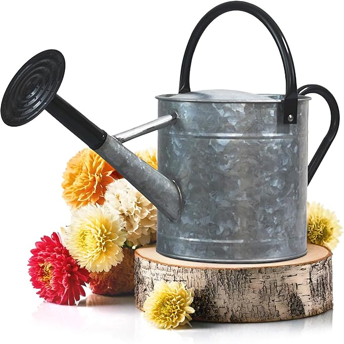 Plexon 1 Gallon Metal Watering Can Outdoor, Flower Plant Gardening Garden Large Galvanized Watering Can Pot Pitcher, Steel Black Handles and Removable Spray Spout