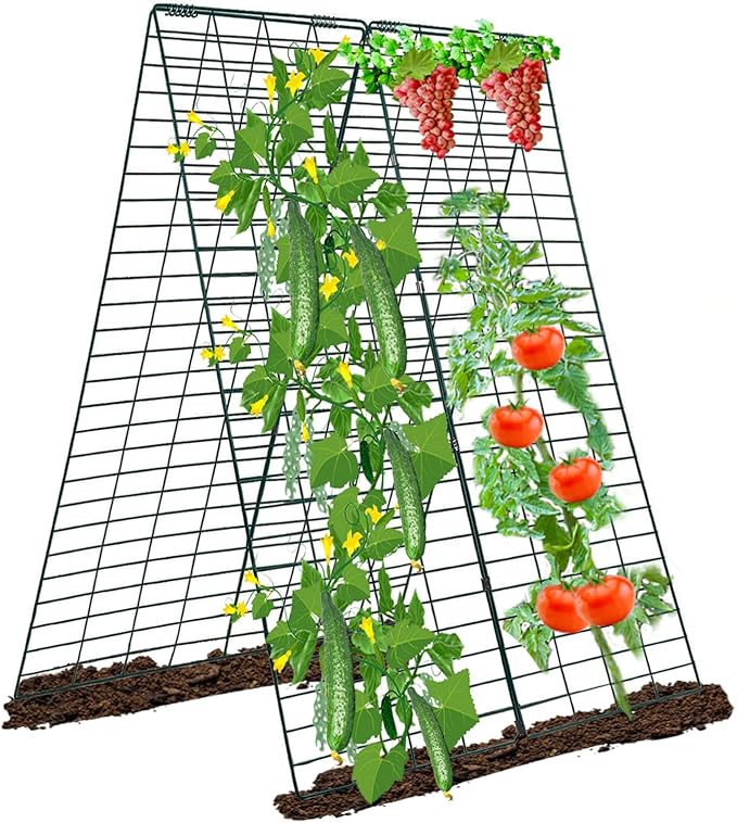 Metal Trellis for Climbing Plants Outdoor Garden Trellis,Cucumber Trellis,Tomato Plant Support/Squash/Zucchini/Sweet Peatrellis,Green Bean/Grape/Vine/Flower Plant Trellis (2 Pack)