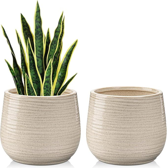 Ceramic Plant Pots 6 Inch Set of 2, Flower Plants Pot with Drainage Holes White Planter Garden Pot for Succulent Cactus Home Decoration Gift Indoor Outdoor
