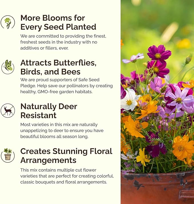 Eden Brothers Florida Wildflower Mixed Seeds for Planting, 1/4 lb, 120,000+ Seeds with Cornflower, Cosmos, African Daisy | Attracts Pollinators, Plant in Spring or Fall, Zones 3, 4, 5, 6, 7, 8, 9, 10