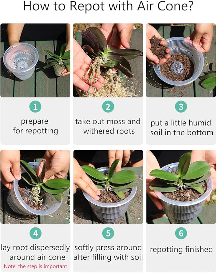 6 inch Clear Orchid Pots with Holes and Saucers for Repotting,Pack of 4,Small Plastic Orchid Planters Provide Good Air Circulation,Nursery Pots for Succulents,Herbs,Aloes,Mint