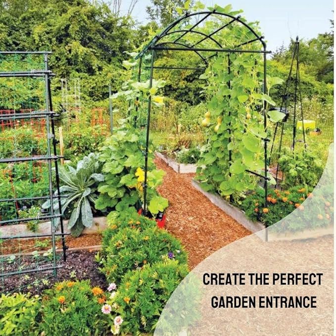 Gardener’s Supply Company Extra Tall Garden Arch Arbor | 80 Inch Tall Titan Squash Tunnel | Lightweight Metal, Trellis Plant Stand for Climbing Vines | Outdoor Lawn Tower & Support Structure