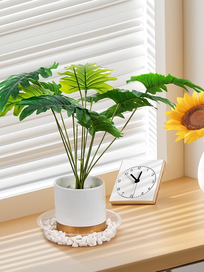 GROWNEER 15 Packs 6 Inches Clear Plant Saucers Flower Pot Trays, with 15 Pcs Plant Labels, Plastic Plant Saucer Drip Trays for Indoor Outdoor Plants Garden