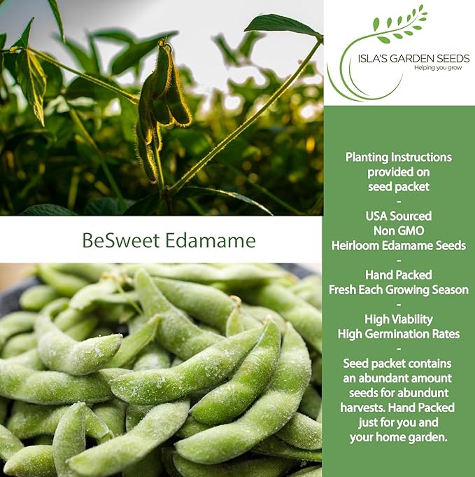 BeSweet Edamame Seeds for Planting (Vegetable Soybean, Glycine max) – 25+ Non GMO & Heirloom Seeds by Isla’s Garden Seeds, Sweet Tender Pods, Easy Home Growing, Garden Gift Idea
