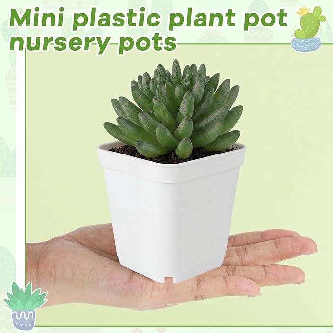 Yaomiao 200 Pack 3 Inch White Nursery Pot Square Flower Pots Plastic Plant Succulent Planter Seed Starting Pots with Drainage Holes for Garden Office Balcony Decor Indoor Outdoor Plant Seedling