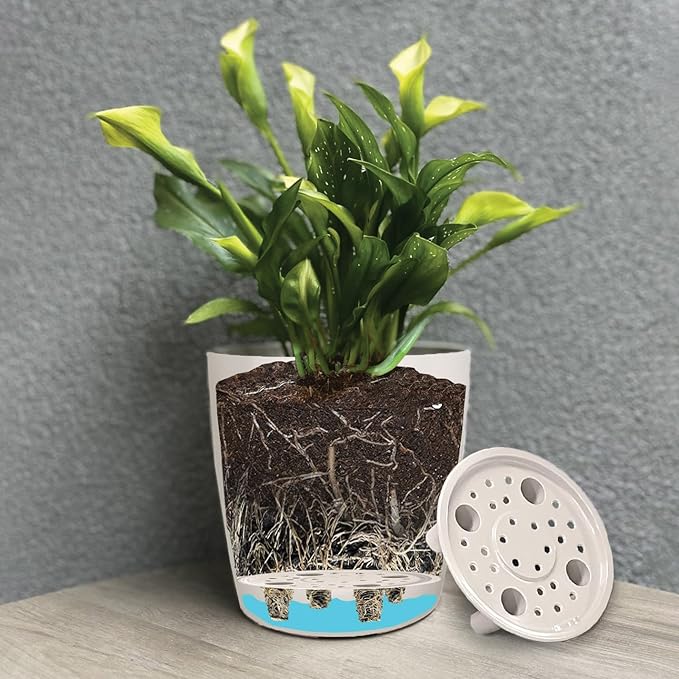 7” Self-Watering Pot – Eco-Friendly Bamboo Planter, Biodegradable & Plastic-Free, Indoor/Outdoor Plant Pot with Built-in Water Well for Healthy Root Growth