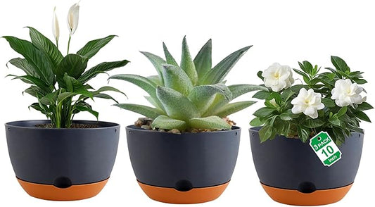 Nooulap 3 Pack Self Watering Planters for Plants Indoor,10 Inch Plant Pot Outdoor Plastic Flower Pot with Drainage and Saucers(Grey)