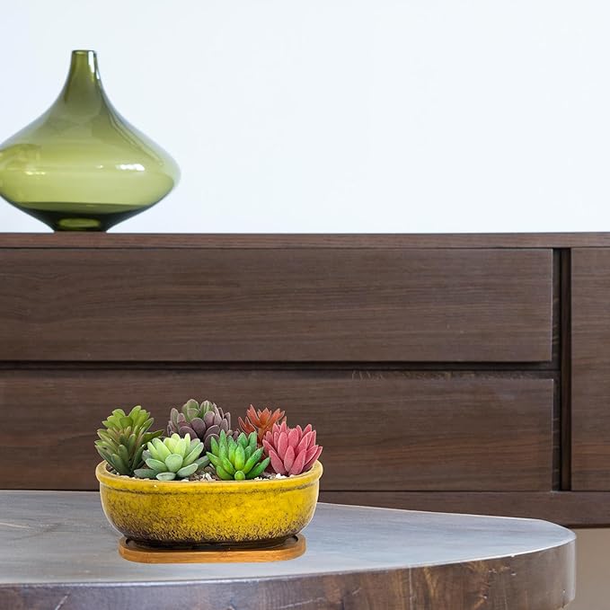ARTKETTY Succulent Pots, 7.9 Inch Large Succulent Planters with Drainage Tray, Shallow Planters for Indoor Plants Ceramic Cactus Pots Glazed Bonsai Flower Plant Container for Home Windowsill Decor