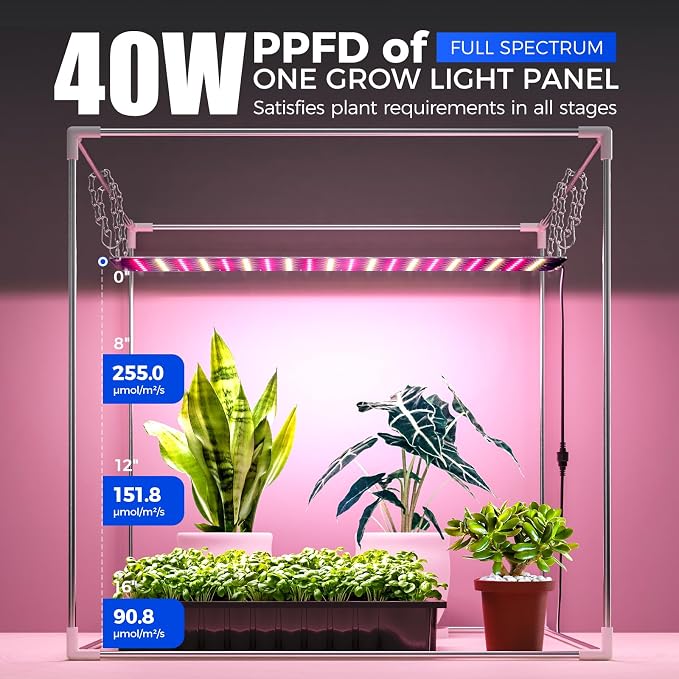 Barrina CX60 Indoor Greenhouse with Grow Light 40W Full Spectrum 23x23x23IN | Seed Starting Indoor Plant Light, Portable Mini Greenhouse, Timer, for Seed Starter Tray, Seedling, Sprouting, Microgreens