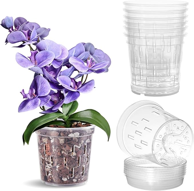 TRUEDAYS Orchid Pot with Saucers – 6 Pack 5 Inch Clear Orchid Pots with Drainage Holes for Repotting – Ideal for Healthy Root Growth – Sturdy Plastic Plant Pot for Indoor & Outdoor Plants