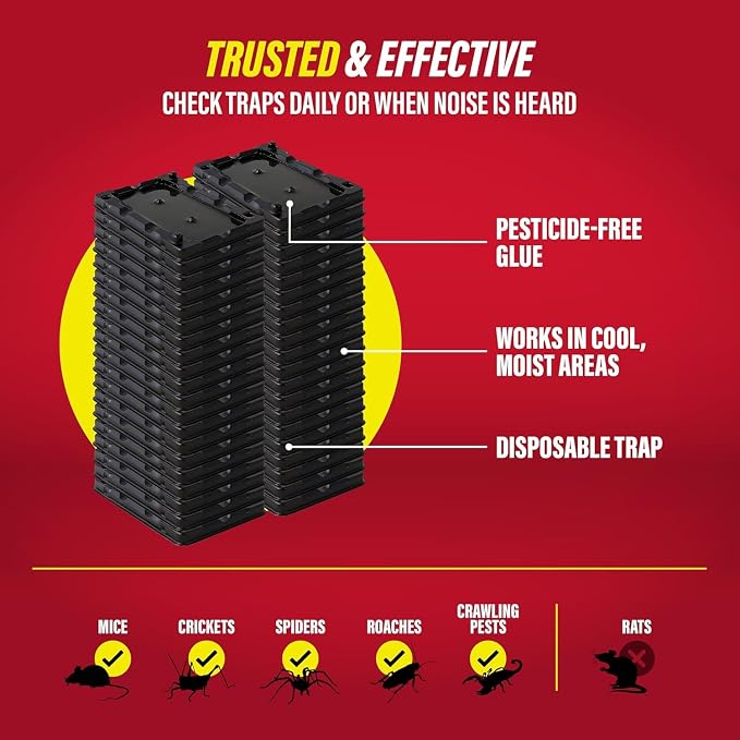 Catchmaster-40 Mouse & Insect Glue Traps, Heavy-Duty Pesticide-Free Sticky Mouse Traps Indoor for Home, Used by the PROs, Adhesive Rodent & Bug Catcher, Pest Control for House & Garage