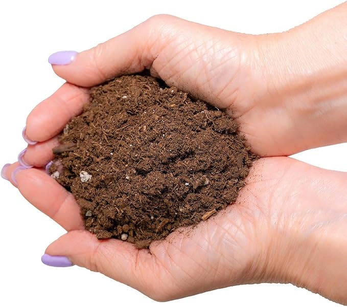 GARDENERA Organic Potting Mix for All Plant Types for Indoor and Outdoor Use, Great for Veggies, Spices, and Holistic Herbs - (3 Quart Bag)