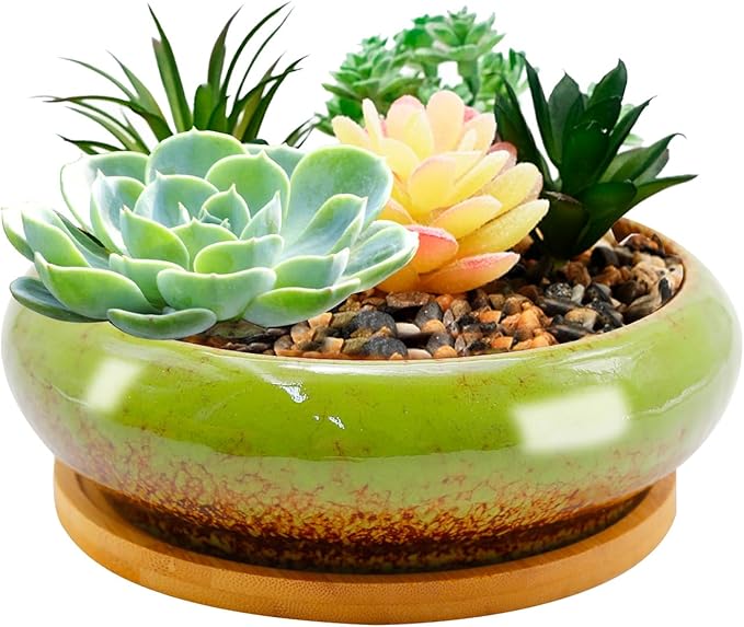 7.4 inch Ceramic Bonsai Pots with Trays Shallow Planters, Succulent Planters with Drainage Hole, Round Large Shallow Pots, Bonsai Pots Garden Decorative Cactus Stand Flower Container (Green)