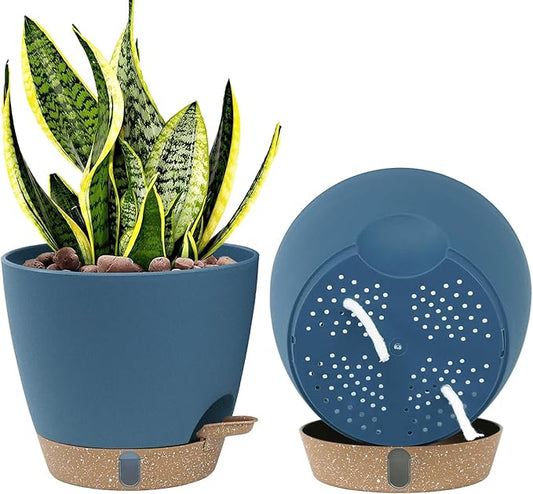montresor 2 Pack 8 inch Plant Pots, PP Plastic Self Watering Plant Pot with Drainage and Tray for Indoor Outdoor Plants, Water Level Window & Reservoir Flower Pots Decorative Planter (Blue)