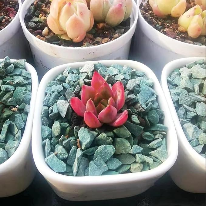 YISZM Succulents and Cactus Green Zeolite Rocks, Decorative Stones Pebbles for Indoor Plants, Bonsai, Fairy Gardening, Vases Fillers, Terrarium, 10lb