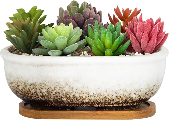 ARTKETTY Succulent Pots, 7.9'' Large Ceramic Pots for Indoor Cactus Plants, Shallow Succulent Planters with Drainage Tray, Oval Bonsai Plant Container Bowl Garden Home Windowsill Decor