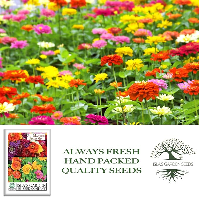 Zin Master Mix Zinnia Seeds (Zinnia elegans) – 200+ Heirloom Non GMO Flower Seeds by Isla’s Garden Seeds, Easy Growing Colorful Summer Blooms for Pollinators, Beds, Borders, Cutting Gardens, Gift Idea