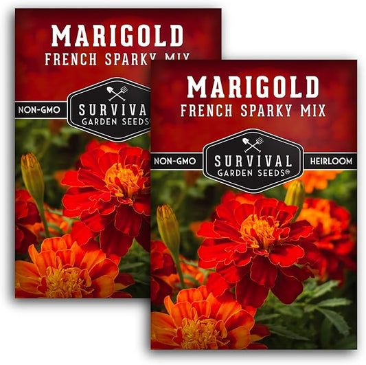 French Sparky Marigold Seeds for Planting - Grow Red & Orange Patula Flowers in Your Home Vegetable Garden - Heirloom Non GMO - Survival Garden Seeds (2 Packs)