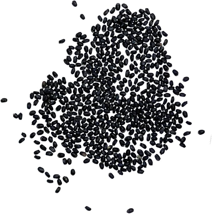 Seed Needs Sweet Genovese Basil Seeds for Planting - Non-GMO Heirloom & Untreated Culinary Herb Seed to Plant an Indoor or Outdoor Home Grown Kitchen Garden (1 Pack)