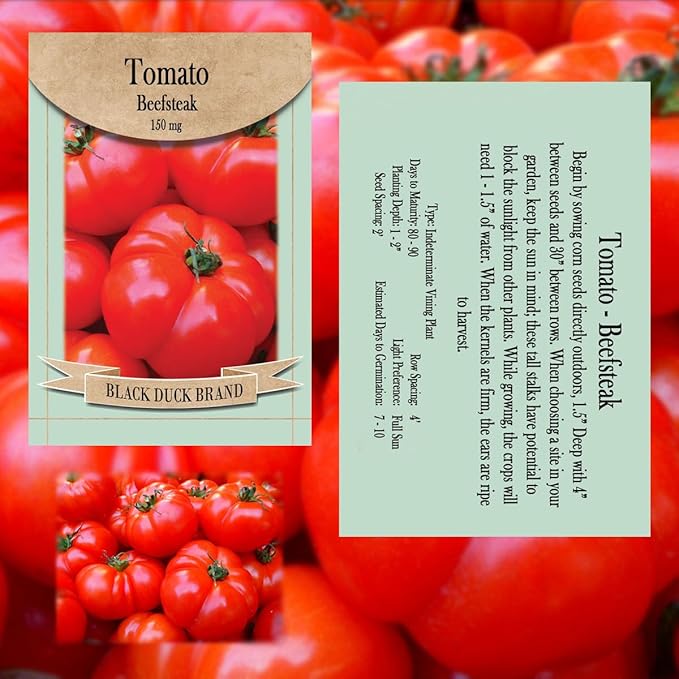 20 Variety Vegetable & Herb Seed Set – Non-GMO Heirloom Seeds for Planting – Includes Tomatoes, Lettuce, Squash, Peas, Corn, Herbs & More – Indoor, Outdoor & Garden Growing - Packaged for 2025