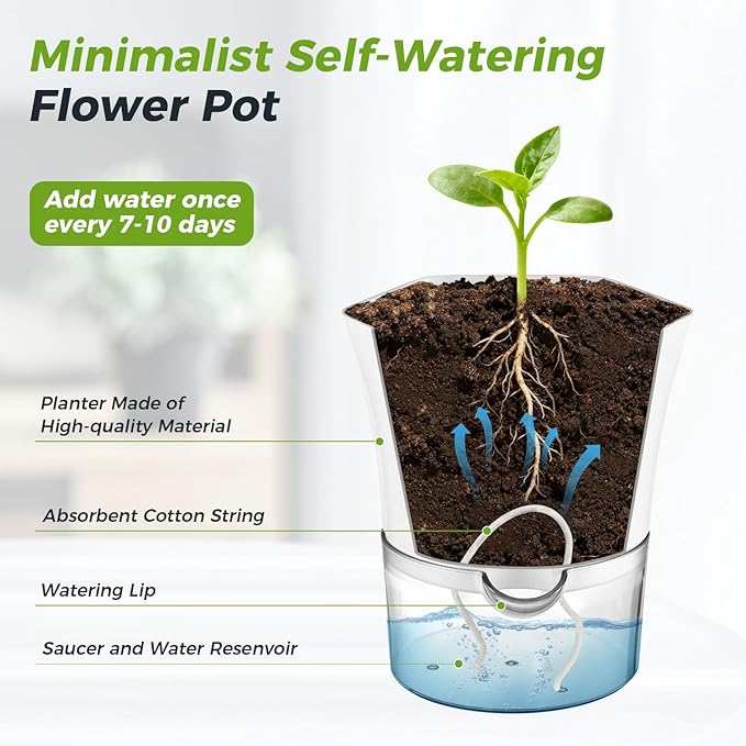 6-Pack 7.8" Clear Self Watering Pots for Indoor Plants Large Hexagon Self-Watering Planters Orchid Pots Plastic Wick Flower Plant Pots for African Violet, Spider, Herbs, Home Decor, White and Clear