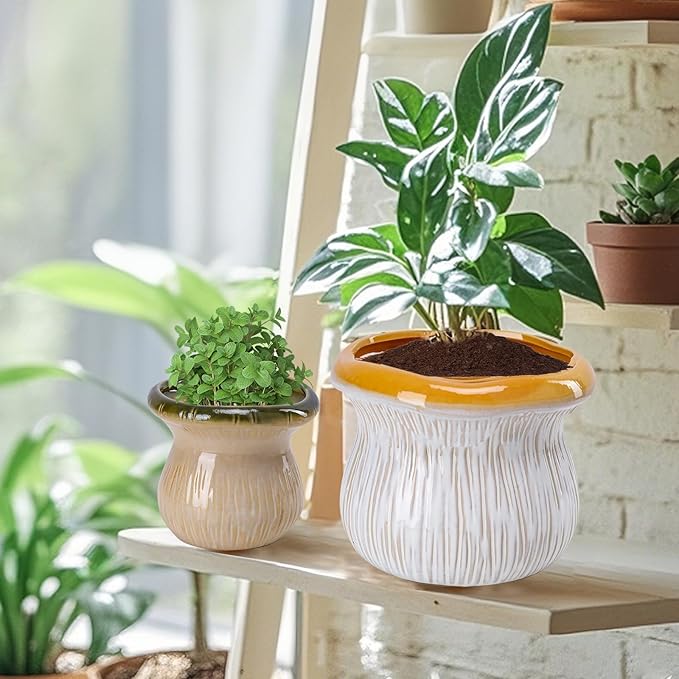 2 Pack Ceramic Plant Pots with Drainage Hole, Two-Tone Textured Planters for Indoor Outdoor Plants, Small Decorative Flower Pots for Succulents Herbs Houseplants