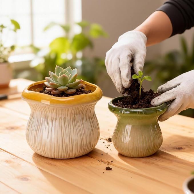 2 Pack Ceramic Plant Pots with Drainage Hole, Two-Tone Textured Planters for Indoor Outdoor Plants, Small Decorative Flower Pots for Succulents Herbs Houseplants