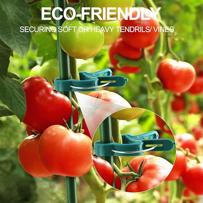 Yinghezu 40 Pcs Plant Support Clips,Flower and Vine,Garden Tomato Plant Support Clips for Supporting Stems,Vines Grow Upright Climbing,Tool for Straightening,Tomato Cage,Trellis. 2 Sizes in one Pack