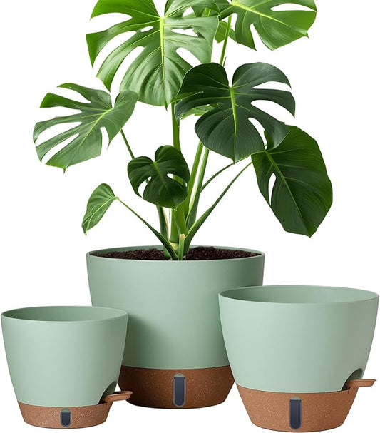 montresor 12/10/8 Inch Self Watering Pots for Indoor Plants Plastic Large Pot for Outdoor Plants, Water Level Window & Spacious Reservoir Flower Pots Decorative Planter with Drainage and Tray