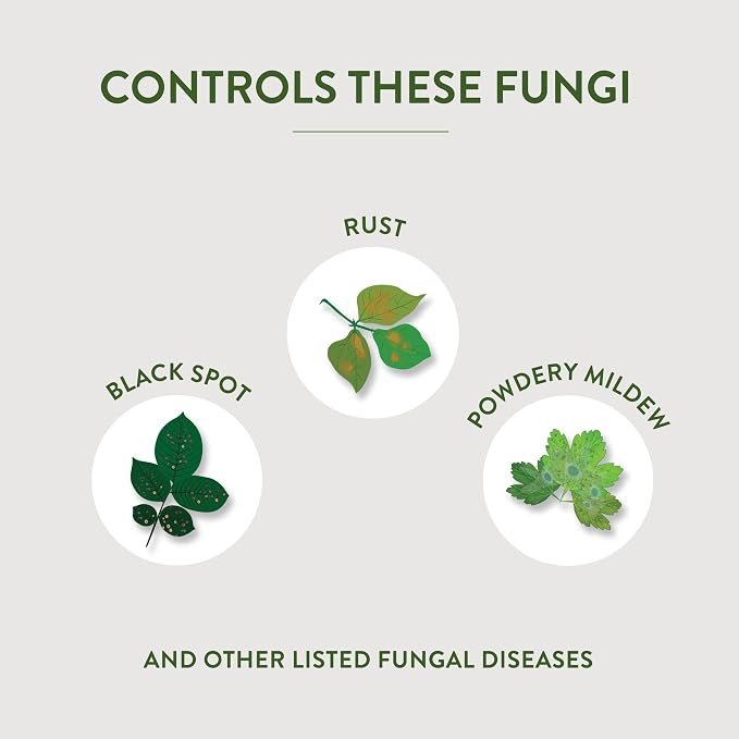 Garden Safe Fungicide, 1 Gallon, with Neem Oil Extract to Control Black Spot, Rust, Powdery Mildew, Aphids, Spider Mites, Whiteflies, Mites On Flowers, Houseplants, Fruits and Vegetables, 4 Pack