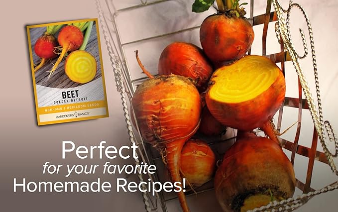 Gardeners Basics, Beet Seeds for Planting Golden Detroit Heirloom Non-GMO Golden Beets Plant Seeds for Home Garden Vegetables Makes a Great Gift for Gardeners