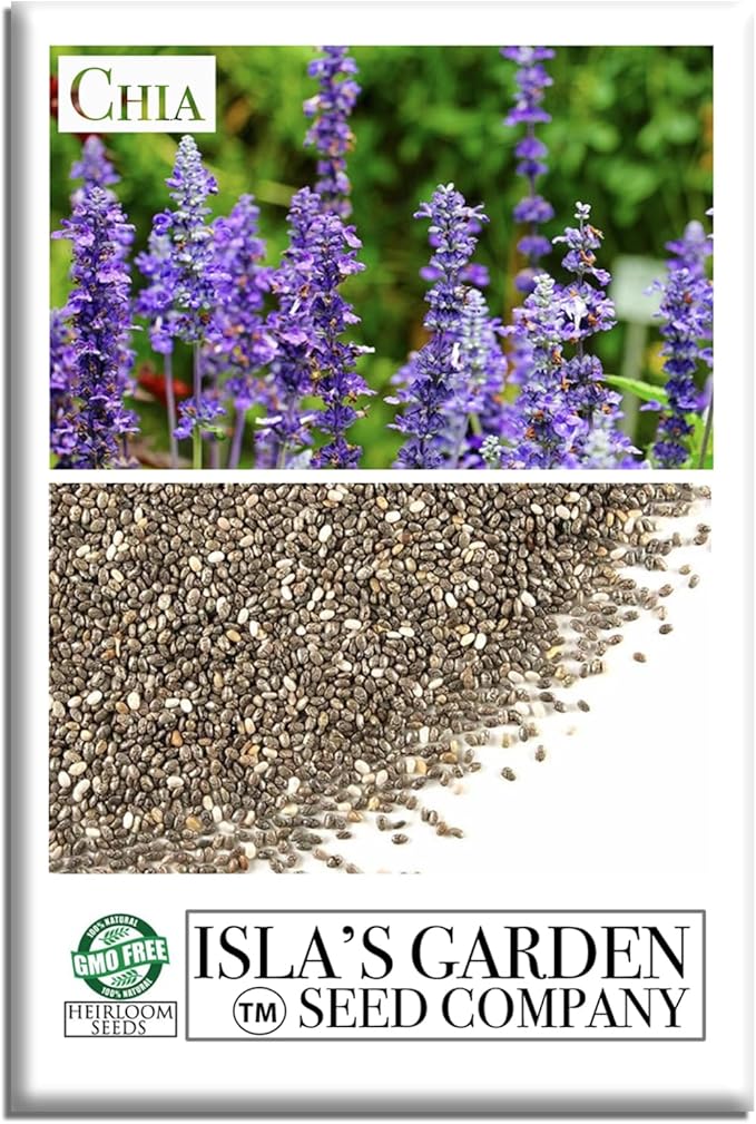 Chia Seeds for Planting, 1000+ Seeds Per Packet,Herb/Flower, (Isla's Garden Seeds), Non GMO & Heirloom Seeds, Scientific Name: Salvia hispanica, Great Gift