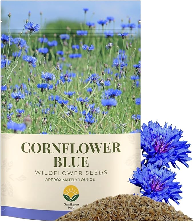 Bachelor Button Seeds – Blue Cornflower – 5,500+ Seeds – 1 oz Bulk Extra Large Resealable Packet – Open-Pollinated Centaurea cyanus Wildflower Seeds