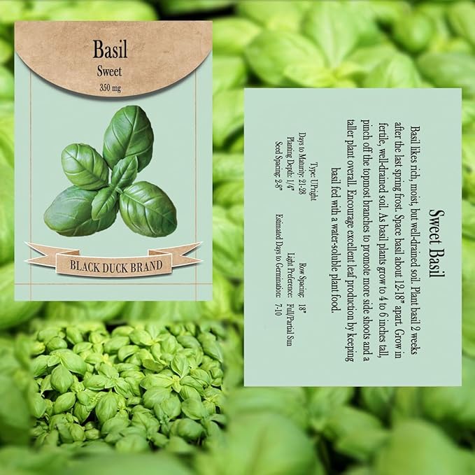 Heirloom Salad Garden Seed Kit – 10 Fresh Varieties for Homegrown Salads – Non-GMO & Heirloom Seeds – Includes Lettuce, Carrot, Cucumber, Radish, Tomato, & More