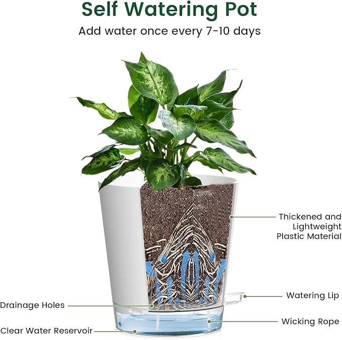 Meowell Self Watering Pots Pack of 6 – Different Size 4" to 7" Indoor Plant Pots with Drainage Holes and Clear Reservoir for Visible Water Level, Plastic Wicking Planters for House Plants, White