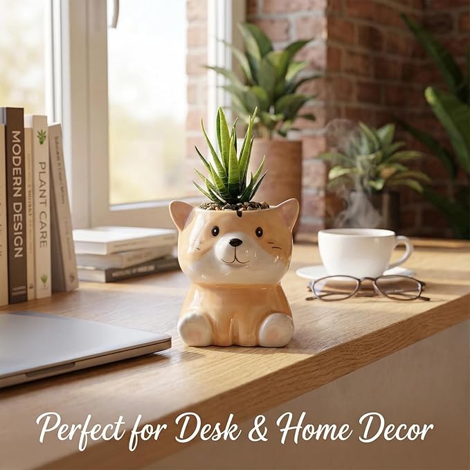 Cute Animal Ceramic Succulent Planters, Small Bonsai Planter, Aloe Cactus Succulent Plant Pots with Drainage Indoor Outdoor Use for Office Home Garden Decoration, Plants Not Included (Groundhog)