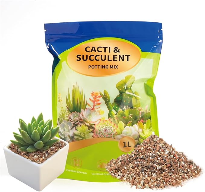 Doter Succulent & Cactus Soil Potting Mix 1qt, Chunky Dirt with Fast Draining Fits for Bonsai, Terrarium and Houseplant