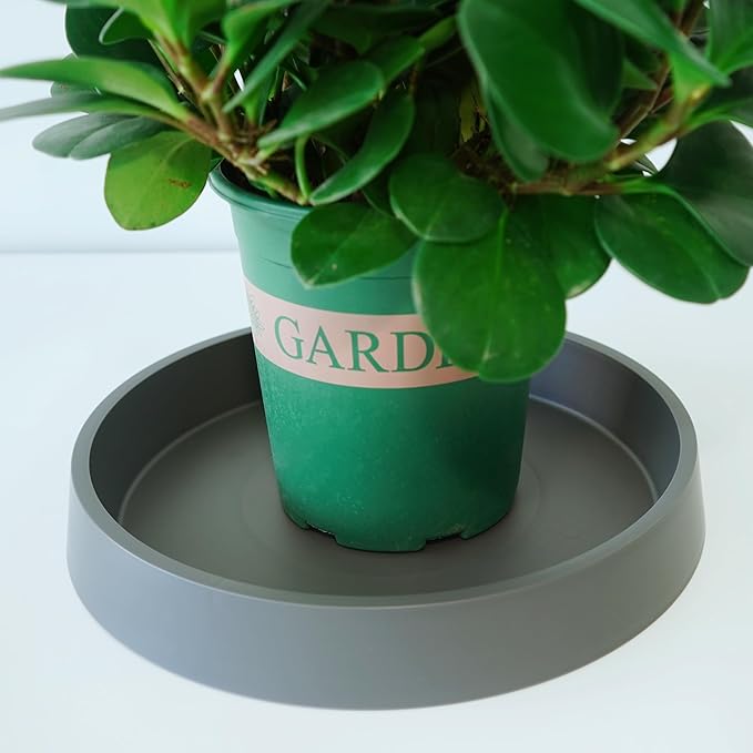 Plant Saucer Tray for Ceramic Plastic Pots, 18 inch Plant Saucers for Indoors, Pot Saucers Trays, Bird Bath Bowls, Flower Planter Water Drip Trays for Pots Base (18", Gray)