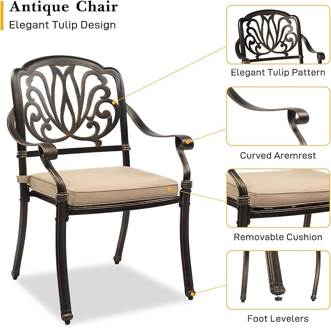 VINGLI Patio Chairs Set of 2- Cast Aluminum Outdoor Dining Chairs with Cushion, Metal Armchairs for Poolside, Backyard, Balcony (2, Elizabeth Back with Cushion)